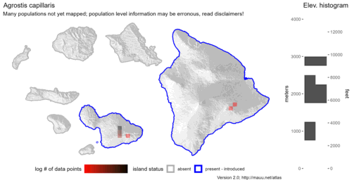 Distribution of Agrostis capillaris in Hawaiʻi.