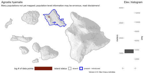 Distribution of Agrostis hyemalis in Hawaiʻi.