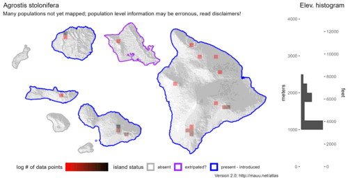 Distribution of Agrostis stolonifera in Hawaiʻi.