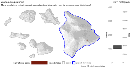 Distribution of Alopecurus pratensis in Hawaiʻi.