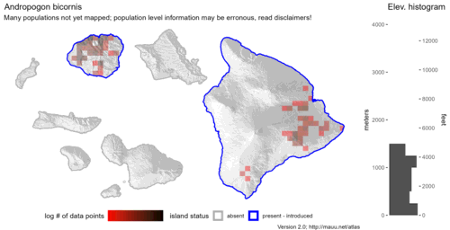  Distribution of Andropogon bicornis in Hawaiʻi. 