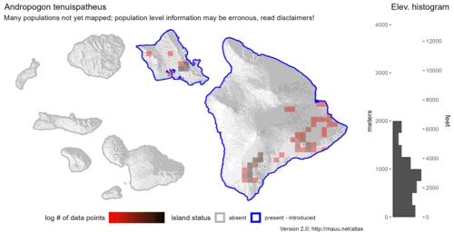  Distribution of Andropogon tenuispatheus in Hawaiʻi. 