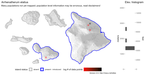 Distribution of Arrhenatherum elatius in Hawaiʻi.