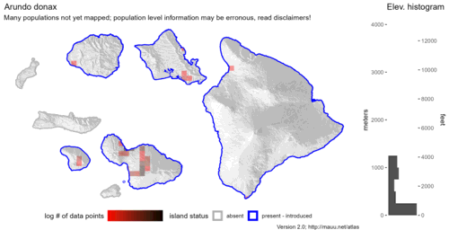 Distribution of Arundo donax in Hawaiʻi.