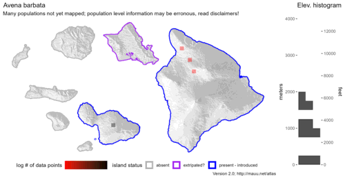 Distribution of Avena barbata in Hawaiʻi.