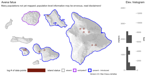 Distribution of Avena fatua in Hawaiʻi.