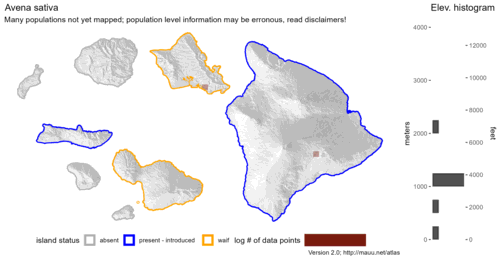 Distribution of Avena sativa in Hawaiʻi.