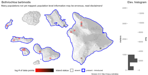 Distribution of Bothriochloa barbinodis in Hawaiʻi.