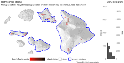  Distribution of Bothriochloa bladhii in Hawaiʻi. 