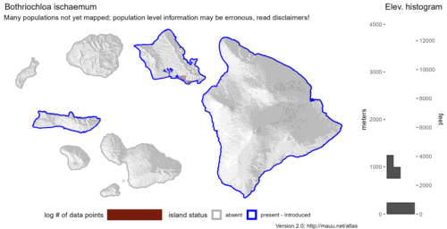 Distribution of Bothriochloa ischaemum in Hawaiʻi.