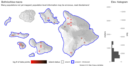  Distribution of Bothriochloa macra in Hawaiʻi. 