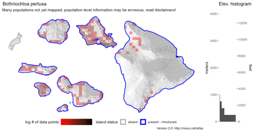  Distribution of Bothriochloa pertusa in Hawaiʻi. 