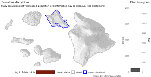 Distribution of Bouteloua dactyloides in Hawaiʻi.