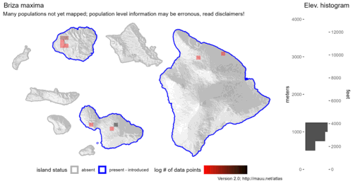 Distribution of Briza maxima in Hawaiʻi.