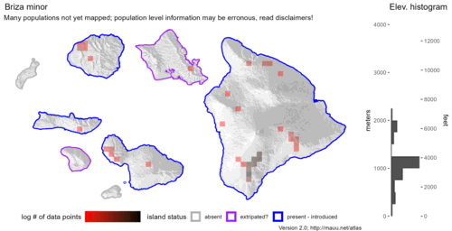  Distribution of Briza minor in Hawaiʻi. 