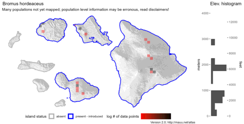 Distribution of Bromus hordeaceus in Hawaiʻi.