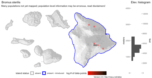 Distribution of Bromus sterilis in Hawaiʻi.