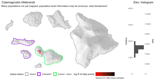 Distribution of Calamagrostis hillebrandii in Hawaiʻi.