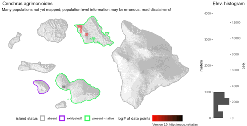 Distribution of Cenchrus agrimonioides in Hawaiʻi.