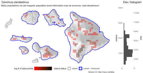  Distribution of Cenchrus clandestinus in Hawaiʻi. 