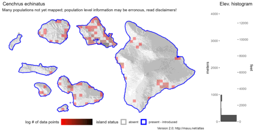  Distribution of Cenchrus echinatus in Hawaiʻi. 