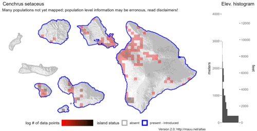  Distribution of Cenchrus setaceus in Hawaiʻi. 