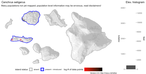 Distribution of Cenchrus setigerus in Hawaiʻi.