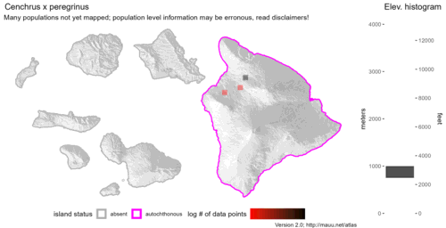 Distribution of Cenchrus x peregrinus in Hawaiʻi.