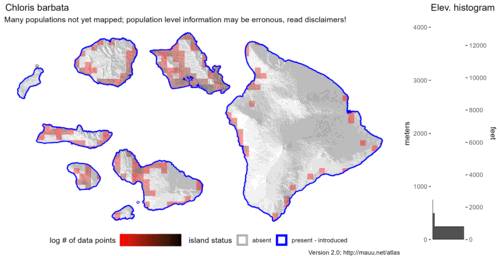  Distribution of Chloris barbata in Hawaiʻi. 