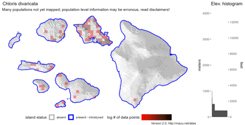  Distribution of Chloris divaricata in Hawaiʻi. 