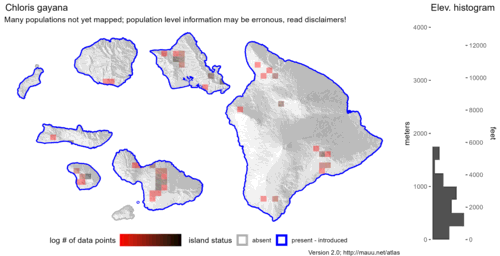  Distribution of Chloris gayana in Hawaiʻi. 