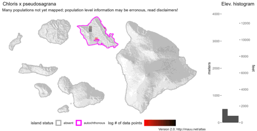 Distribution of Chloris x pseudosagrana in Hawaiʻi.