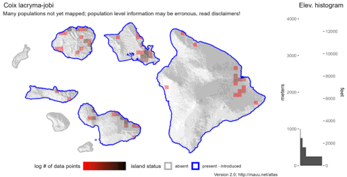  Distribution of Coix lacryma-jobi in Hawaiʻi. 