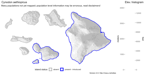 Distribution of Cynodon aethiopicus in Hawaiʻi.