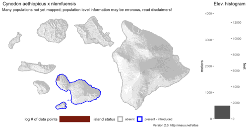 Distribution of Cynodon aethiopicus x nlemfuensis in Hawaiʻi.