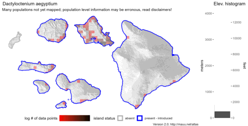  Distribution of Dactyloctenium aegyptium in Hawaiʻi. 