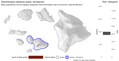 Distribution of Deschampsia cespitosa subsp. beringensis in Hawaiʻi.