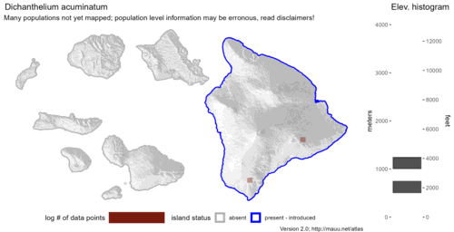 Distribution of Dichanthelium acuminatum in Hawaiʻi.