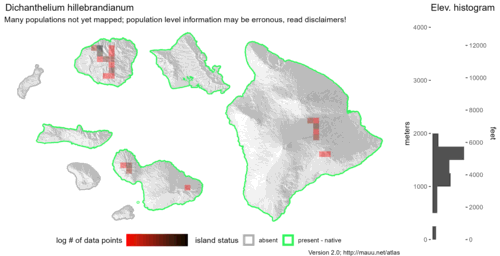  Distribution of Dichanthelium hillebrandianum in Hawaiʻi. 