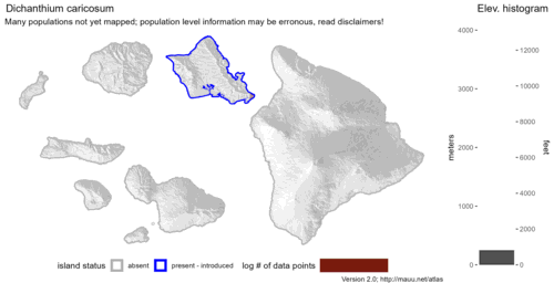 Distribution of Dichanthium caricosum in Hawaiʻi.