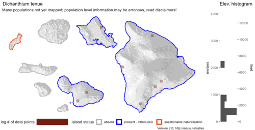 Distribution of Dichanthium tenue in Hawaiʻi.