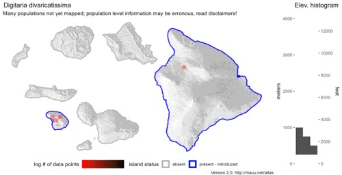 Distribution of Digitaria divaricatissima in Hawaiʻi.