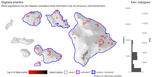  Distribution of Digitaria eriantha in Hawaiʻi. 