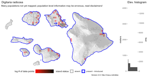  Distribution of Digitaria radicosa in Hawaiʻi. 