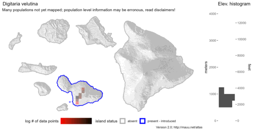 Distribution of Digitaria velutina in Hawaiʻi.