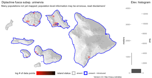 Distribution of Diplachne fusca subsp. uninervia in Hawaiʻi.