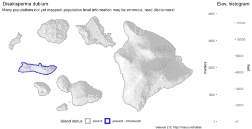 Distribution of Disakisperma dubium in Hawaiʻi.