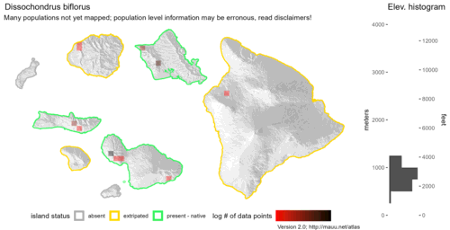 Distribution of Dissochondrus biflorus in Hawaiʻi.