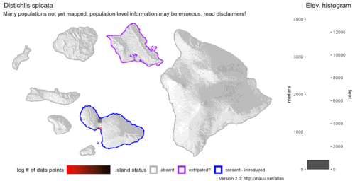 Distribution of Distichlis spicata in Hawaiʻi.