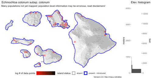  Distribution of Echinochloa colonum subsp. colonum in Hawaiʻi. 